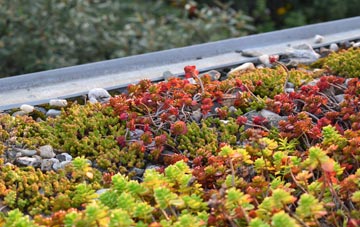 the cost of Letters green roof installation