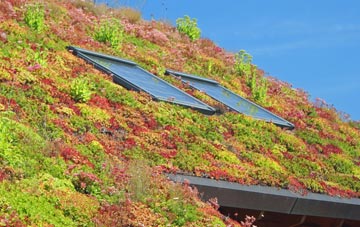 Letters living roof systems