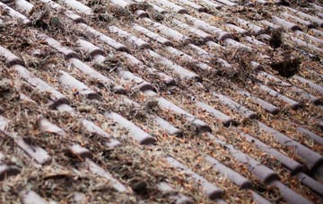 Letters roof cleaning companies